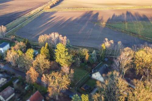 Foto - Grundstück zu verkaufen in Wandlitz 299.000,00 € 1250.21 m²