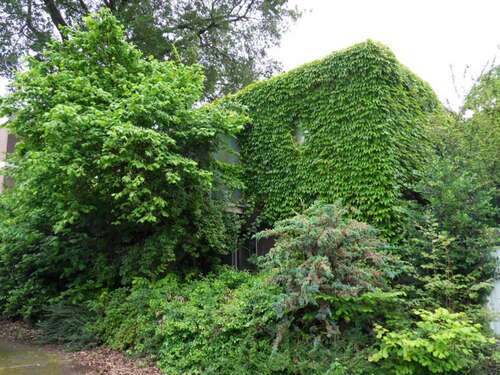 Foto - Grundstück zu verkaufen in Lauf 150.000,00 € 688 m²