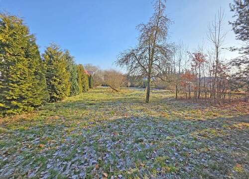 Foto - Grundstück zu verkaufen in Lütow Ortsteil Netzelkow 116.500,00 € 1165 m²