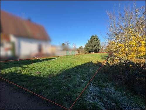 Foto - Grundstück zu verkaufen in Landau in der Pfalz 290.000,00 € 1450 m²