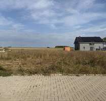 Haus zum Kaufen in Querenhorst 346.000,00 € 166 m²