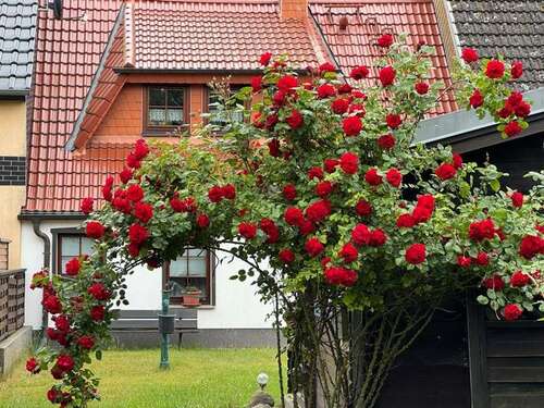 Foto - Haus zum Kaufen in Mönkebude 210.000,00 € 83 m²