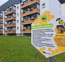 Wohnung zum Mieten in Magdeburg 346,80 € 57.8 m² Wohnung zum Mieten in Magdeburg 346,80 € 57.8 m²
