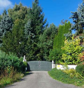 Foto - Haus zum Kaufen in Bad Griesbach 1.190.000,00 € 200 m²