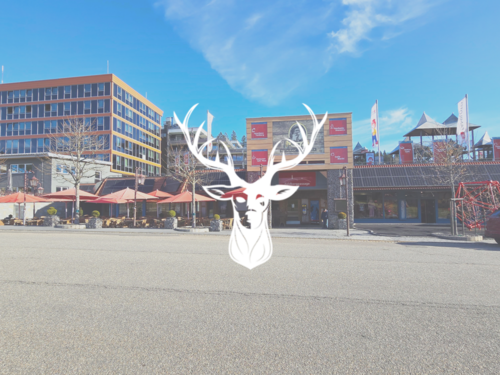 Foto - Gastronomie in Feldberg 5.500,00 € 830 m²