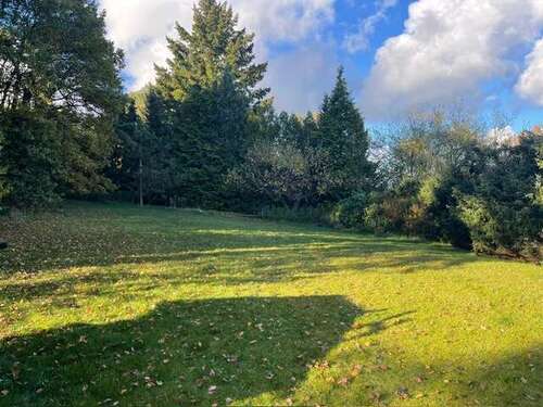 Foto - Grundstück zu verkaufen in Asendorf 299.000,00 € 1324 m²