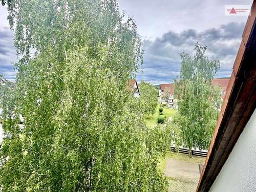 Foto - Wohnung zum Mieten in Glauchau Niederlungwitz 270,00 € 41 m²