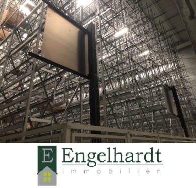 Foto - Halle in Hamburg 40.975,00 € 4100 m²