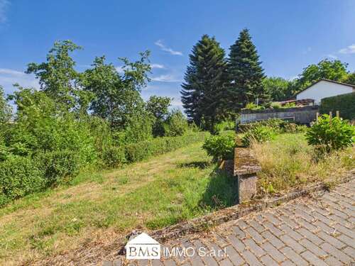 Foto - Grundstück zu verkaufen in Utscheid 50.000,00 € 1243 m²