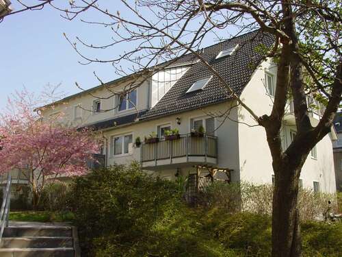 Foto - Wohnung zum Mieten in Chemnitz 440,00 € 69.86 m²