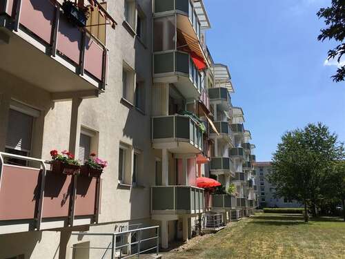 Foto - Wohnung zum Mieten in Forst (Lausitz) 304,23 € 49.07 m²