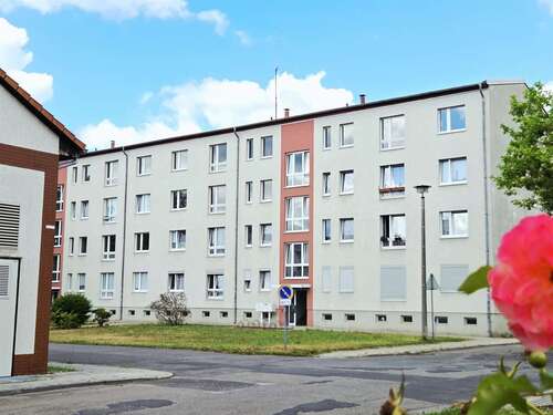 Foto - Wohnung zum Mieten in Forst (Lausitz) 350,00 € 56.79 m²