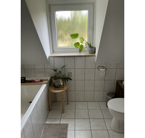 Wohnung zum Mieten in Hemer 379,00 € 49.33 m²