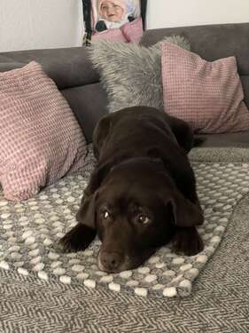 Foto - Wohnung zum Mieten in Mannheim 1.100,00 € 90 m²