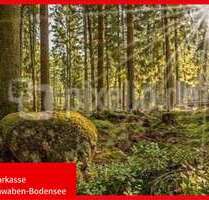 Grundstück in Ursberg 35.000,00 € 6370 m²