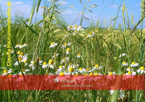 Foto - Grundstück in Ursberg 24.000,00 € 4060 m²