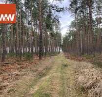 Grundstück in Finsterwalde Sorno 67.500,00 € 64893 m² - Finsterwalde / Sorno