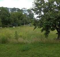 Wohnen auf Zeit in Ludwigsfelde 1.499,00 €