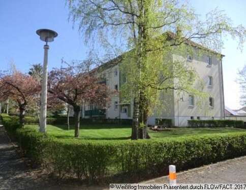 Foto - Wohnung zum Mieten in Riesa 340,00 € 48.2 m²