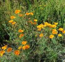 Haus zum Kaufen in Steina 441.011,00 € 143 m²