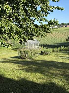 Foto - Grundstück zu verkaufen in Bornheim 320.000,00 € 585 m²