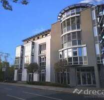 Wohnung zum Mieten in Dresden 620,00 € 75 m² Wohnung zum Mieten in Dresden 620,00 € 75 m²