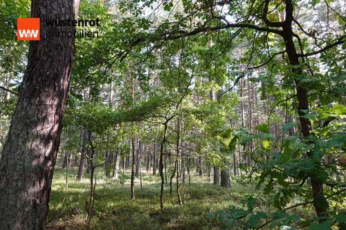 Foto - Grundstück zu verkaufen in Kamenz Zschornau 74.500,00 € 48370 m²