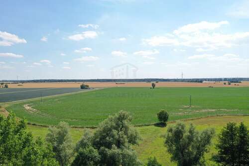 Foto - Grundstück zu verkaufen in Mönchhagen 649.000,00 € 3000 m²