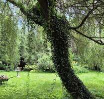 Grundstück zu verkaufen in Wandlitz 119.000,00 € 400 m²