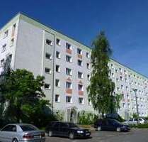 Wohnung zum Mieten in Greifswald 390,00 € 60 m²