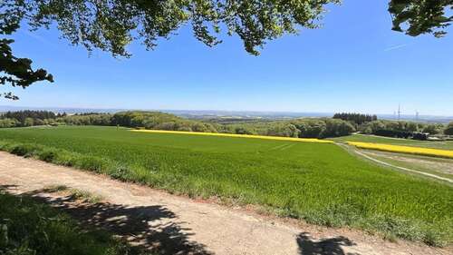 Foto - Grundstück zu verkaufen in Mayen 87.500,00 € 350 m²