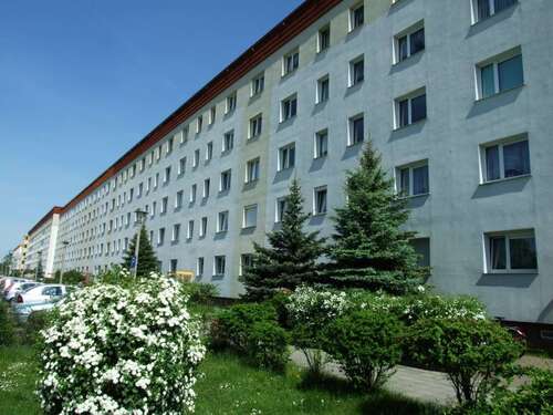 Foto - Wohnung zum Mieten in Weißwasser 380,00 € 57.5 m²