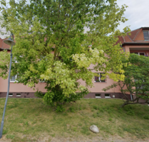 Wohnung zum Mieten in Mixdorf 375,60 € 62.6 m²