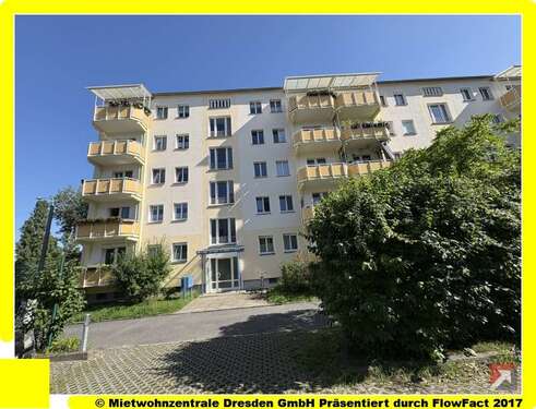Foto - Wohnung zum Mieten in Dresden 445,00 € 50.52 m²