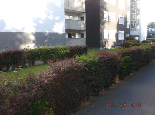 Foto - Wohnung zum Mieten in Münster 950,00 € 86.03 m²