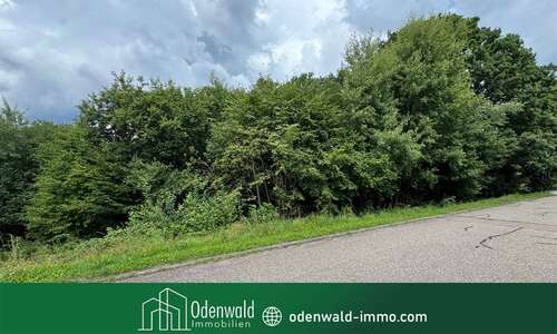 Foto - Grundstück zu verkaufen in Waldbrunn 50.000,00 € 2062 m²