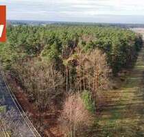 Grundstück in Finsterwalde Sorno 159.000,00 € 153427 m² - Finsterwalde / Sorno