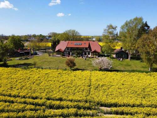 Foto - Haus zum Kaufen in Sehlen Teschenhagen 2.000.000,00 € 400 m²