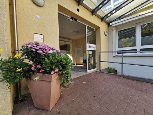 Foto - Wohnung zum Mieten in Kiel 380,00 € 34.48 m²