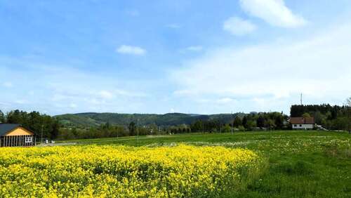 Foto - Grundstück zu verkaufen in Elsterberg 69.000,00 € 920 m²