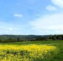 Grundstück zu verkaufen in Elsterberg 69.000,00 € 920 m²