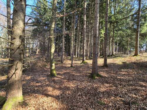 Foto - Spezialgewerbe in Seefeld 45.000,00 € 4446 m²