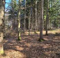 Spezialgewerbe in Seefeld 45.000,00 € 4446 m²