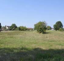 Grundstück zu verkaufen in Buckow 89.000,00 € 2315 m²