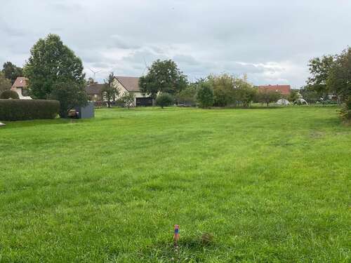 Foto - Grundstück zu verkaufen in Buckow 79.000,00 € 2315 m²