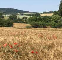 Wohnung zum Mieten in Laucha 335,00 € 51 m²