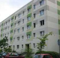 Wohnung zum Mieten in Wurzen 235,00 € 46 m²