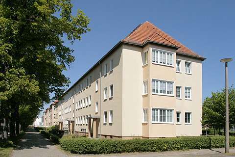 Foto - Wohnung zum Mieten in Dessau-Roßlau 502,00 € 59.9 m²