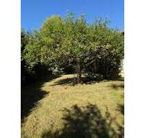 Grundstück zu verkaufen in Gauting 2.950.000,00 € 1530 m²