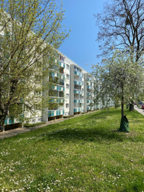 Foto - Wohnung zum Mieten in Wernigerode 368,74 € 58.53 m²